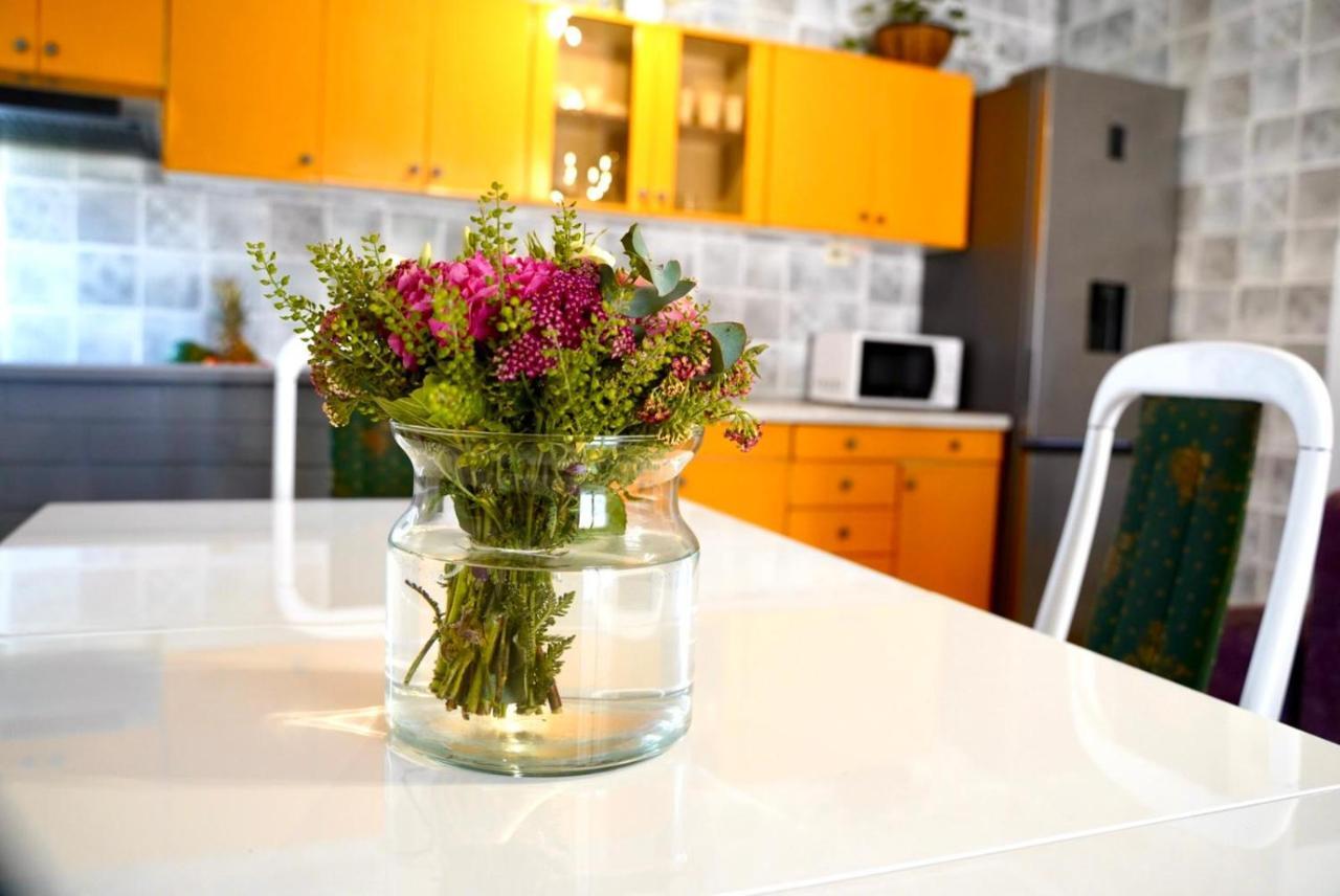 Apartment For 6 + Free Parking Place زادار المظهر الخارجي الصورة